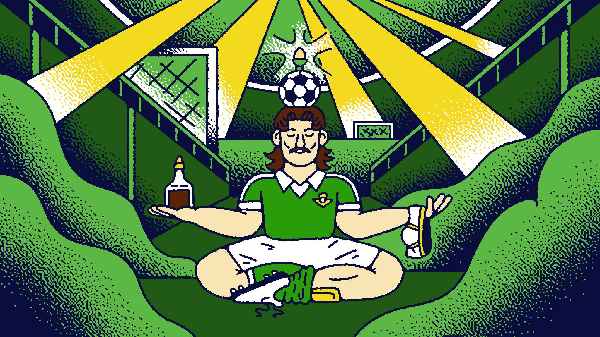 逐步占据场 逐步占据场